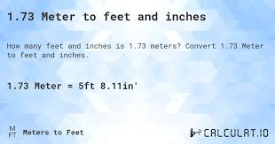 1.73 m in feet​