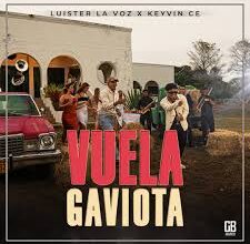 cassette - vuela gaviota vuela