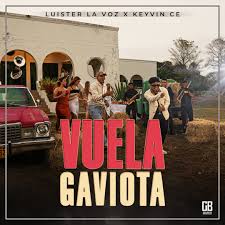 cassette - vuela gaviota vuela